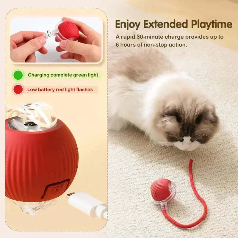 Smart Play Ball for Cats