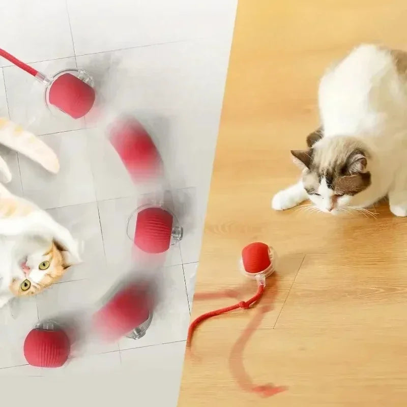 Smart Play Ball for Cats