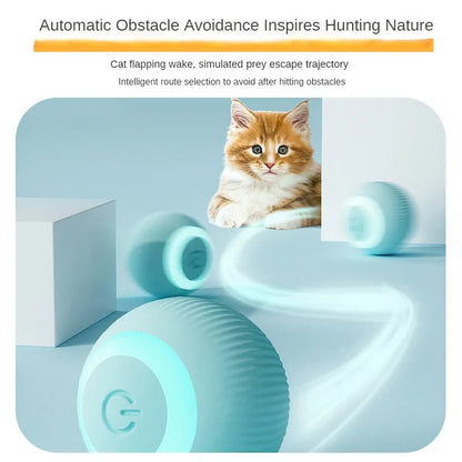 Fun-Filled Smart Cat Ball