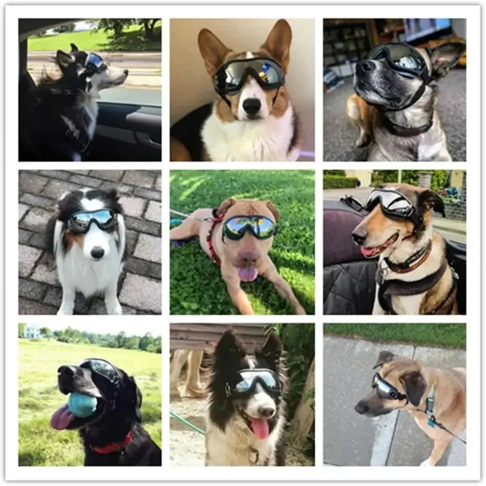 Ultimate Dog Eye Protectors