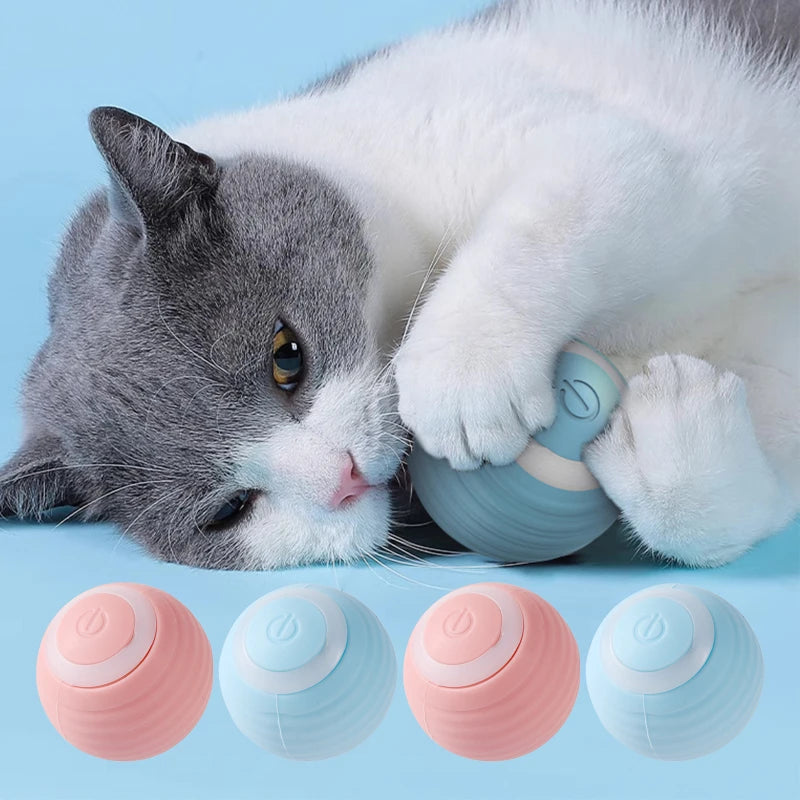 Fun-Filled Smart Cat Ball