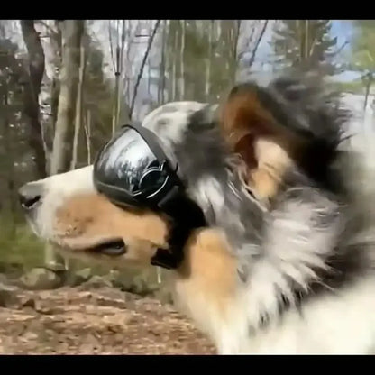 Ultimate Dog Eye Protectors